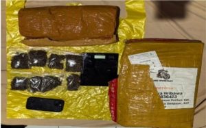 Polda Lampung Berhasil Bongkar Jaringan Narkoba Medan–Bali, 6 Kilogram Ganja Digagalkan